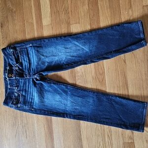 American Eagle Artist Stretch Ankle Length Jeans Women's Size 2
